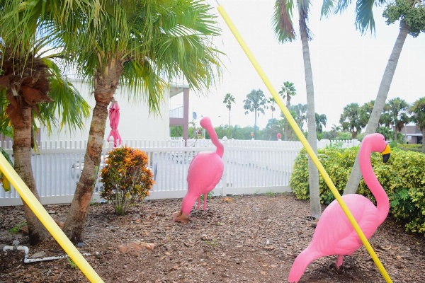 Flamingo Motel image 20